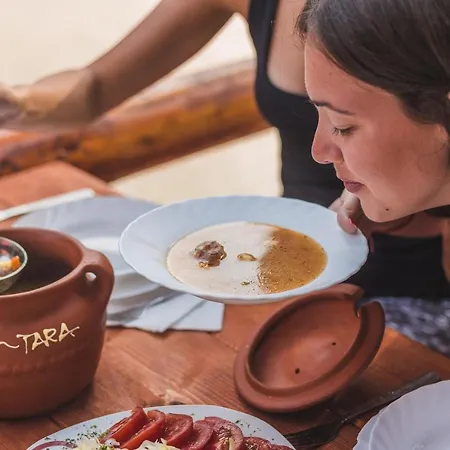 Rafting Center Drina Tara Gostinjska kuća