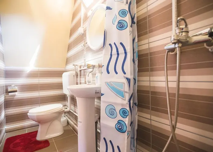 Rafting Center Drina Tara 招待所 *